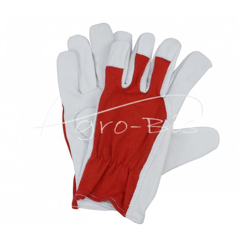 5 vnt - Minkštos ožkos odos pirštinės, 10 dydis - REKK