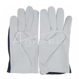 5 vnt - Minkštos ožkos odos pirštinės, 10 dydis - REKK