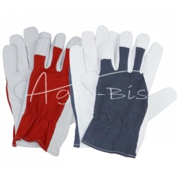 5 vnt - Minkštos ožkos odos pirštinės, 10 dydis - REKK