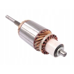 Starterio rotoriaus zetorius 93 2303 932303