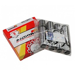 5 vnt - C-360 ANDORIA išmetimo vožtuvo kreiptuvas, - 50505300AM