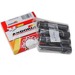 5 vnt - „Zetor“ įsiurbimo ir išmetimo vožtuvų kreiptuvai ANDORIA - 69010567AM