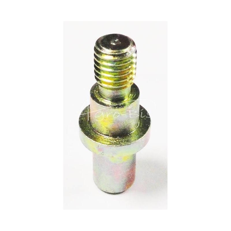 5 vnt - Sankabos prispaudimo plokštės kreipiamasis kaištis su T-25 veržle - 2521110