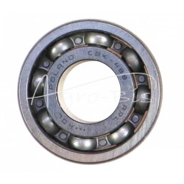 5 vnt - CBK 488 PPL guolis - CBK 488