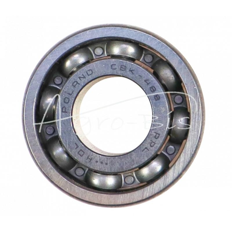 5 vnt - CBK 488 PPL guolis - CBK 488