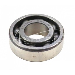 5 vnt - CBK 488 PPL guolis - CBK 488