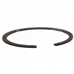 5 vnt - Vidinis Seegerio žiedas 170 W - 170W