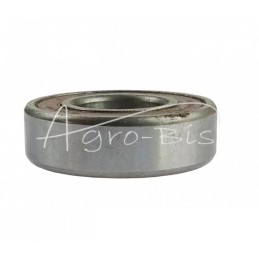 5 vnt - Ekranuotas vienos eilės rutulinis guolis 6004 2RS NSK - 6004 2RS