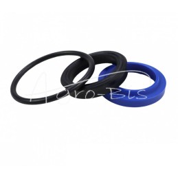 5 vnt - Grėblio pakėlimo cilindro CN2B3-25/H Bizon Z-056 kombaino sandariklių komplektas K372 - F160