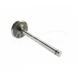 5 vnt - MF3 ANDORIA įsiurbimo vožtuvas, - 31431681AM