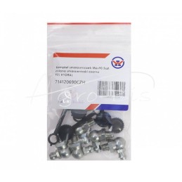 5 vnt - M6x90 tepalo antgalių rinkinys, 5 vnt., juodas tepalo antgalio dangtelis PZL HYDRAL - 714120690CZH