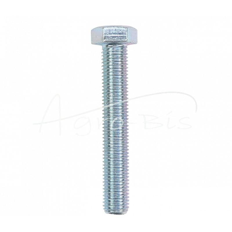 10 vnt - Šešiakampė galvutė, pilnas sriegis, M16x100, 8.8 klasė, DIN931, baltai cinkuotas - 5421213/2