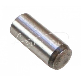 10 vnt - Alkūninio veleno smagračio kaištis 12n6x30 46404000 Ursus C-360 - 5427080/3