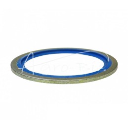 10 vnt - Metalinė-guminė poveržlė su BSP kreipikliu, colio 42,93x52,38x3,3 1 1/4" - PMG-1/1/4