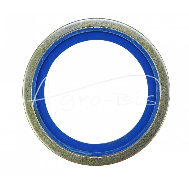 10 vnt - Metalinė-guminė poveržlė su BSP kreipikliu, colio 48,44x58,60x2,50 1 1/2 colio - PMG-1/1/2