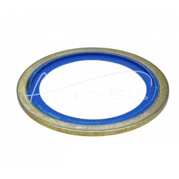 10 vnt - Metalinė-guminė poveržlė su BSP kreipikliu, colio 48,44x58,60x2,50 1 1/2 colio - PMG-1/1/2