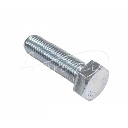 10 vnt - Šešiakampė galvutė, pilnas sriegis, M20x70, 8.8 klasė, DIN933, baltai cinkuotas - HAN01134