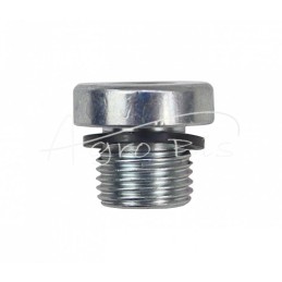 10 vnt - Hidraulinis kištukas su colio sriegiu ir šešiakampiu lizdu - 1/8 colio šešiakampis raktas - HS588