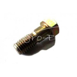 10 vnt - Bizon stabdžių disko varžtas - 504024033