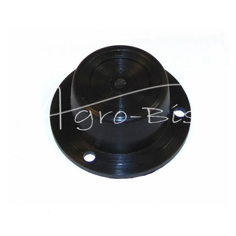 10 vnt - Purkštuvo dangtelis - A0998OP