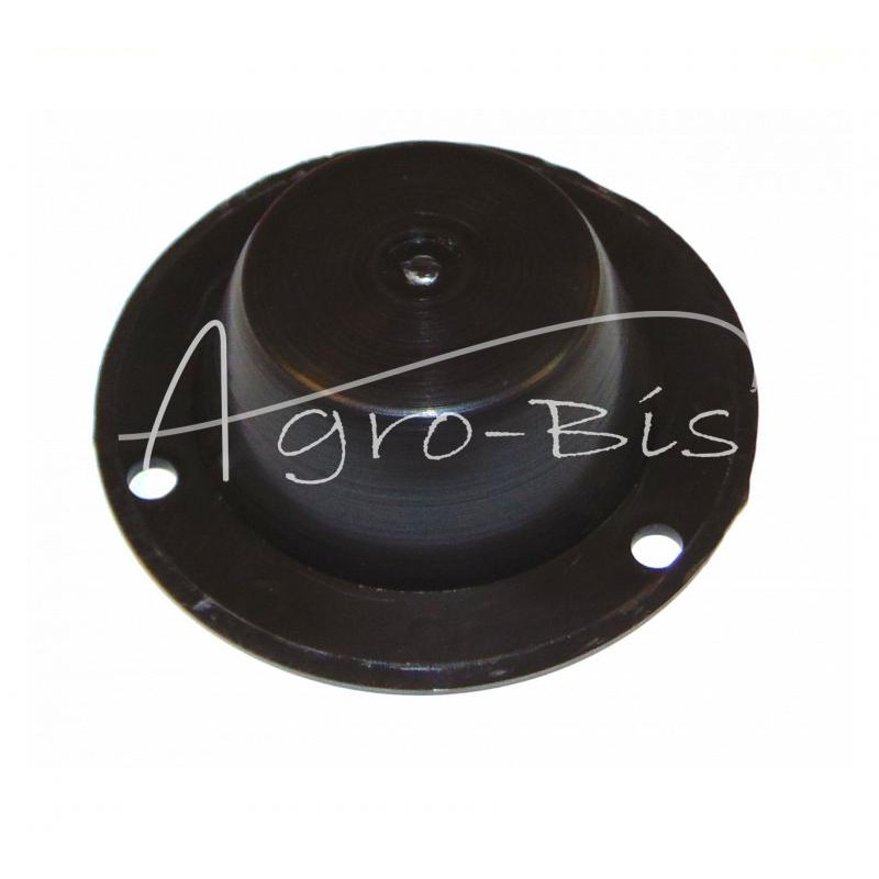 10 vnt - FI-120 purkštuvo stebulės dangtelis - A0999OP