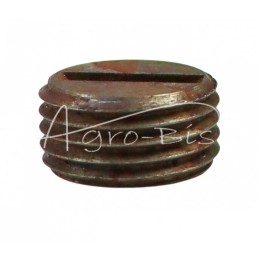 10 vnt - Skirstytuvo korpuso kaištis su išpjova C-385 M16x1.5 poliruotas - 80600123