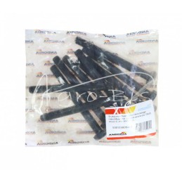 10 vnt - Nešlifuotas diferencialo varžtas Ursus C-330 ANDORIA, - 500135800AM