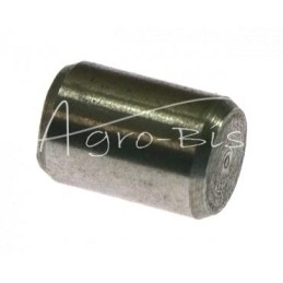 10 vnt - Įpurškimo siurblio kaištis 1/4X3/8 - 0350010