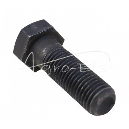 10 vnt - Šešiakampė galvutė, dalinis sriegis M16x50, 10.9 klasė, skirta Ursus C-385 kabinos atramai - 5421215/0