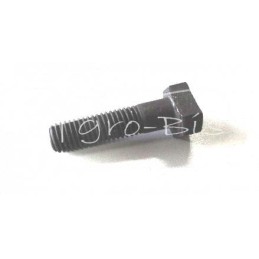 10 vnt - SLĖGIO ŠAKUTĖS VARŽTAS - A202233C