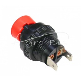 10 vnt - Signalinis mygtukas 24V importui - 5045786/1