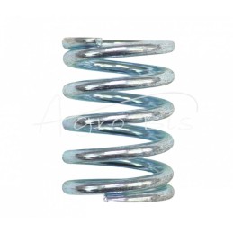 10 vnt - Įpurškimo siurblio stūmiklio spyruoklė - P250111