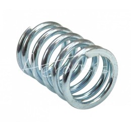 10 vnt - Įpurškimo siurblio stūmiklio spyruoklė - P250111