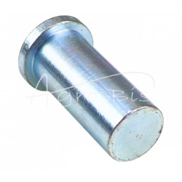 10 vnt - Stabdžių trinkelės kaištis Ursus C-360 5052625 poliruotas - 5466035/2