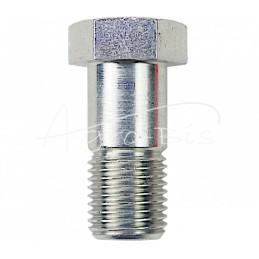 10 vnt - Colinis perpildymo varžtas 1/4 colio L-28 mm raktas 19 - SC01 1/4 L28 FI-0,8