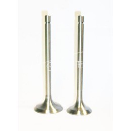 10 vnt - Įsiurbimo vožtuvas A0509004 Vladimirets T-25 - D371007014