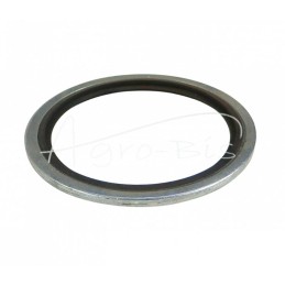 10 vnt - Metalinė-guminė poveržlė su BSP kreipikliu, colio 60,58x73,03x3,2 2" - PMG-2