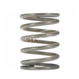 10 vnt - Ursus C-385 išorinė vožtuvo spyruoklė, lenkiška - 89005501