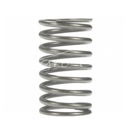 10 vnt - Vidinė vožtuvo spyruoklė Ursus C-385 Polish - 89005502