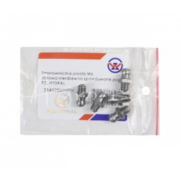 10 vnt - M6 tiesus nerūdijančio plieno tepalo nipelis PZL HYDRAL - 7141206NPH