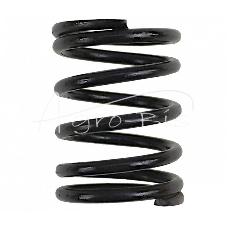 10 vnt - Išorinė variklio vožtuvo spyruoklė 80005013 Zetor ZTS Ursus C-385 ANDORIA - 89005501AM