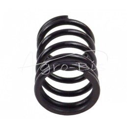 10 vnt - Išorinė variklio vožtuvo spyruoklė 80005013 Zetor ZTS Ursus C-385 ANDORIA - 89005501AM