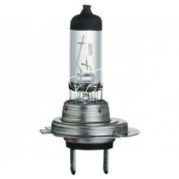 10 vnt - H-7 12V 55W PX26d lemputė su homologacija - H-7