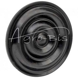 10 vnt - Diafragminis-purškiamas gofruotas siurblys Pilmet P40/60 Tadlen 124x11 W19187,19436 Polish - 400204009/1