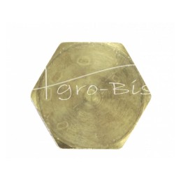 10 vnt - Žalvarinė purkštuvo aklinoji veržlė G1/2" - G1/2