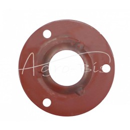 10 vnt - Guolio dangtis 1206 mažas su skyle skardos mėšlo kratytuvas Lenkija - 220805002/0