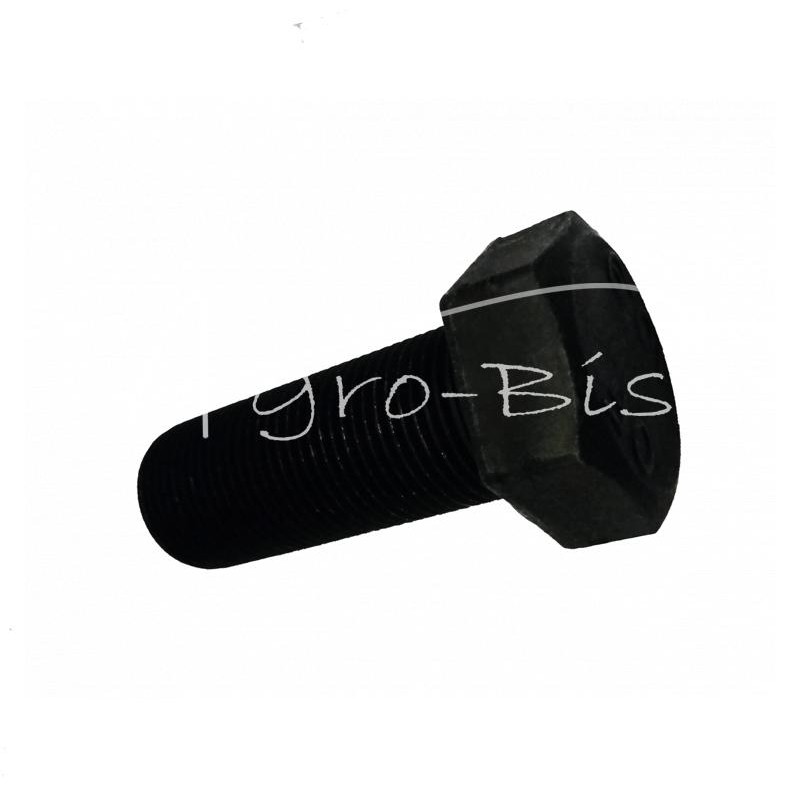 10 vnt - Alkūninio veleno skriemulio varžtas Ursus C-385 poliruotas - 89003011