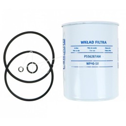 10 vnt - Kuro filtro įdėklas 26560602 WP40-5X Ursus MF4 LEILAND parduodamas 10 vnt. pakuotėmis - P556287AM