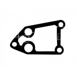 20 vnt - C-385 alyvos filtro korpuso tarpinė - 80018001