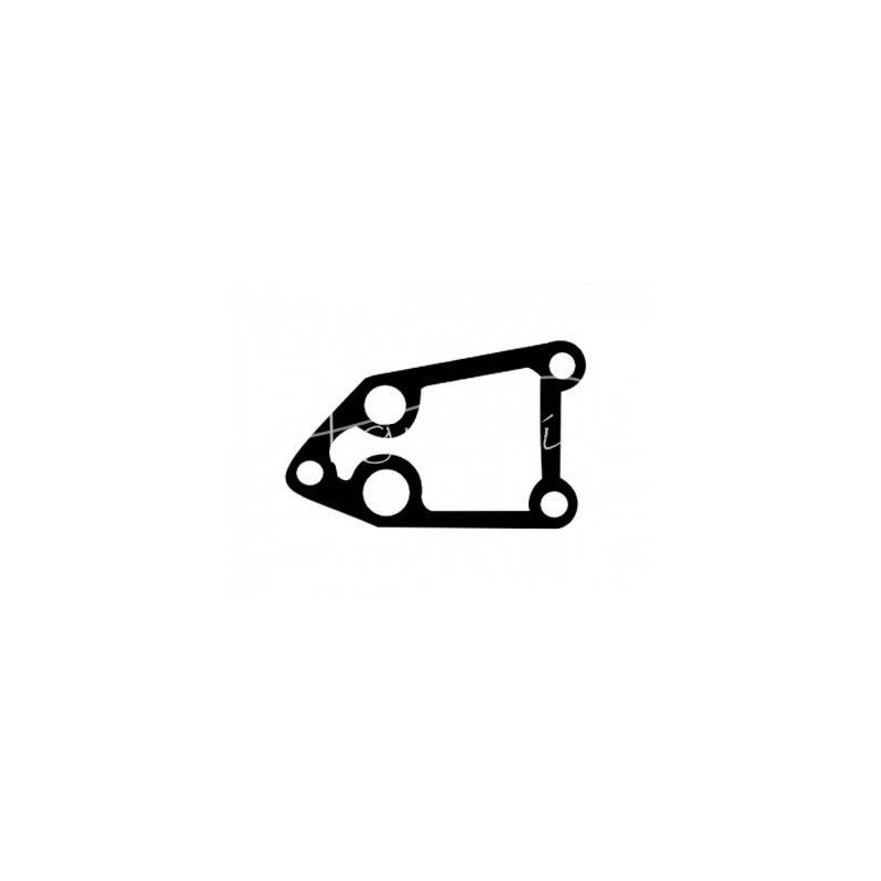 20 vnt - C-385 alyvos filtro korpuso tarpinė - 80018001